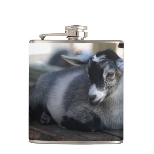 Flasques Chèvre (Devant)