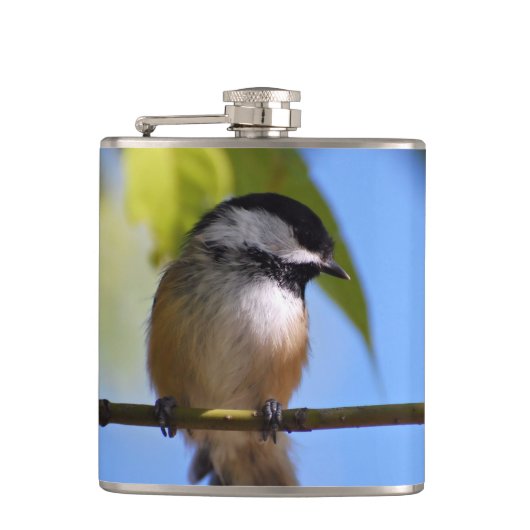 Flasques Chickadee mignon sur une photographie de branche (Devant)