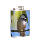 Flasques Chickadee mignon sur une photographie de branche (Droite)