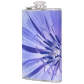 Flasques chicorée bleu pourpre (Gauche)