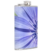 Flasques chicorée bleu pourpre (Droite)