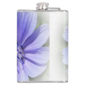 Flasques chicorée bleu pourpre (Dos)