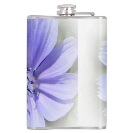 Flasques chicorée bleu pourpre (Dos)