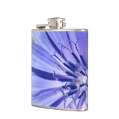 Flasques chicorée bleu pourpre (Gauche)