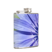 Flasques chicorée bleu pourpre (Droite)