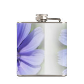 Flasques chicorée bleu pourpre (Dos)