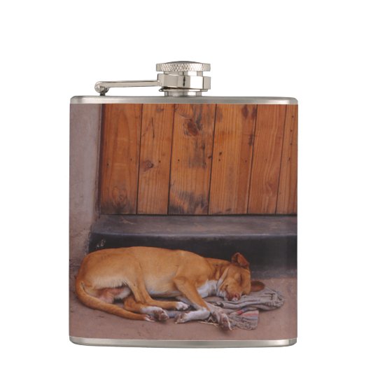 Flasques Chien au repos (Devant)