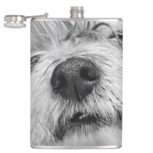 Flasques Chien de Coton de Tulear