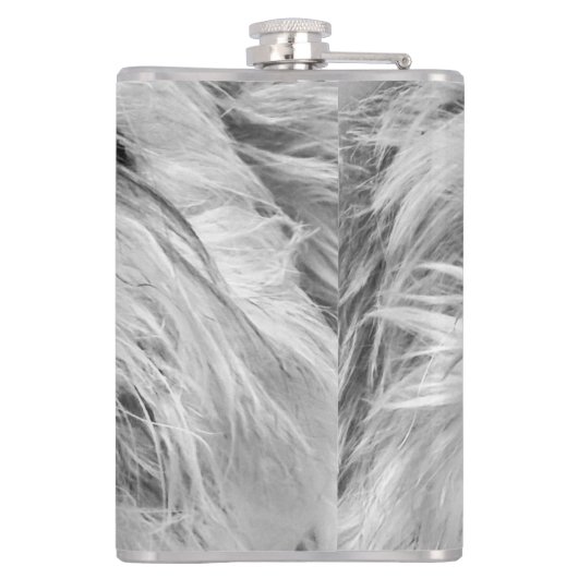 Flasques Chien de Coton de Tulear (Dos)