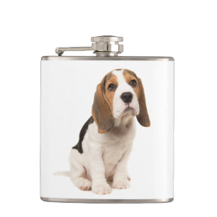 Flasques Chien de race Beagle Bleu Ciel Adorable
