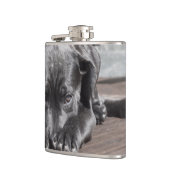 Flasques Chien noir (Gauche)