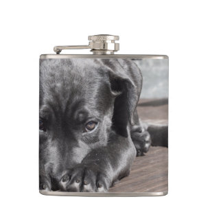 Flasques Chien noir