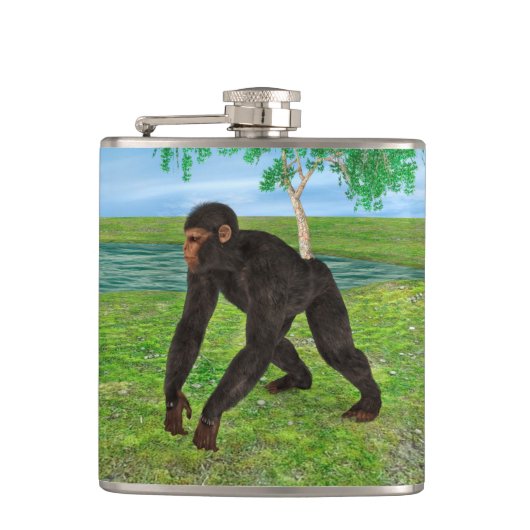 Flasques Chimpanzé (Devant)