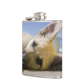 Flasques Chiot (Gauche)