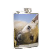 Flasques Chiot (Droite)