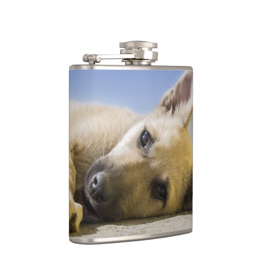 Flasques Chiot (Droite)