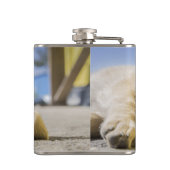 Flasques Chiot (Dos)