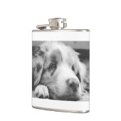 Flasques chiot australien (Gauche)