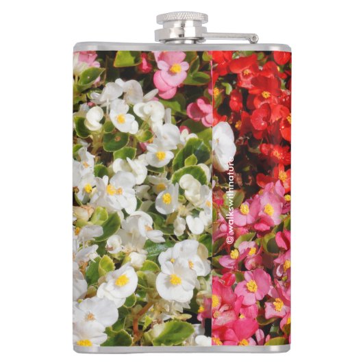 Flasques Cire colorée Begonias (Dos)