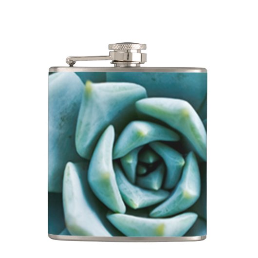 Flasques Closeup Succulent (Devant)