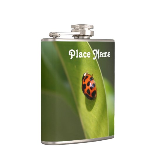 Flasques Coccinelle (Droite)