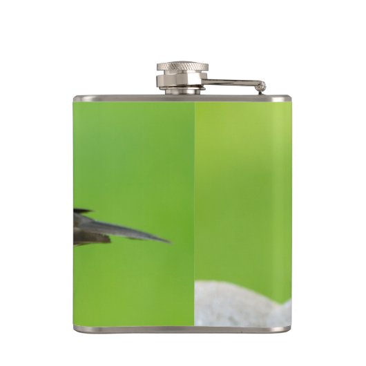 Flasques Colibri à tête Brown (Dos)