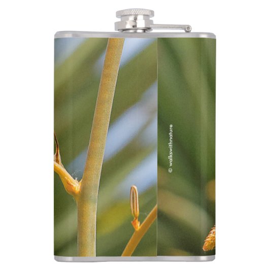 Flasques Colibri roux mignon perché sur une fleur (Dos)