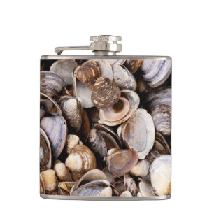 Flasques Coques dans la boue