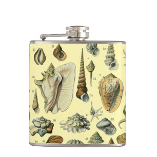Flasques Coquillages de coquillages Mollusk Clam Élégant Ar