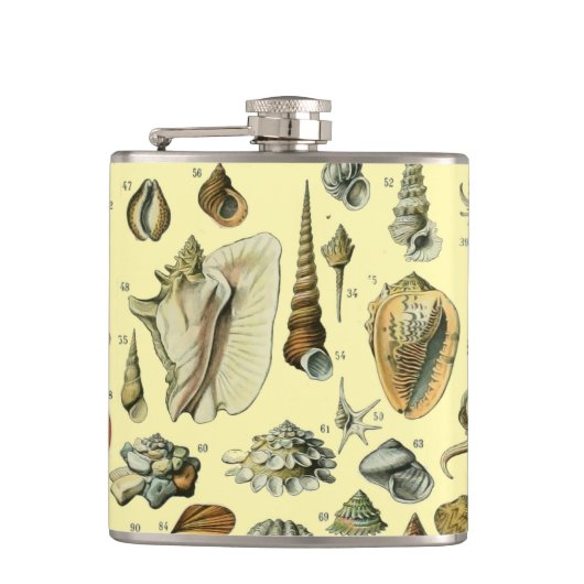 Flasques Coquillages de coquillages Mollusk Clam Élégant Ar (Devant)