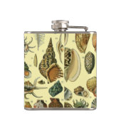 Flasques Coquillages de coquillages Mollusk Clam Élégant Ar (Dos)