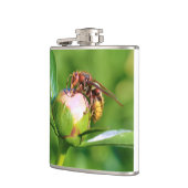 Flasques Cornet européen sur fleur de bourgeon (Gauche)