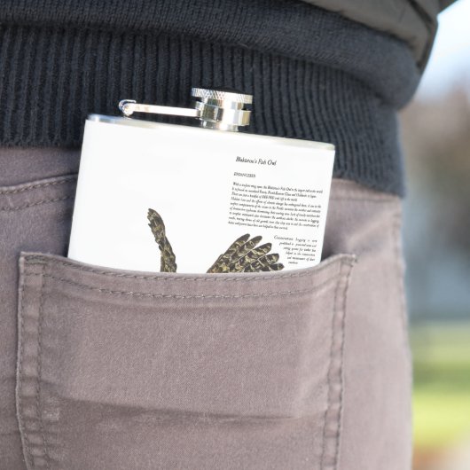 Flasques Couleurs de l'eau Superbe Chouette de poisson en v (In Situ)