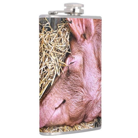 FLASQUES COUPER (Droite)