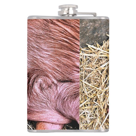 FLASQUES COUPER (Dos)