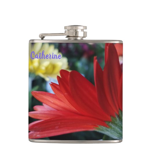 Flasques Crimson rouge Gerbera Daisy gros plan fleur (Devant)