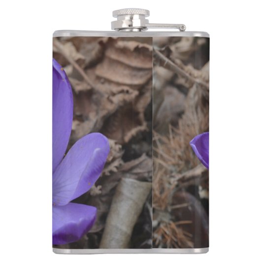 Flasques Crocus de bois à fleurs violettes (Dos)