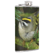 Flasques Cute Kinglet Songbird Causes Stir in the Fir (Droite)