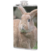 Flasques Cute lapin de gingembre avec de grandes oreilles (Gauche)