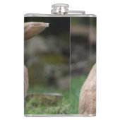 Flasques Cute lapin de gingembre avec de grandes oreilles (Dos)