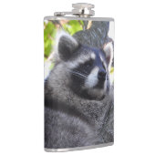 Flasques Cute Raccoon fermer (Droite)