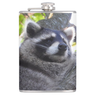 Flasques Cute Raccoon fermer