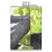 Flasques Cute Raccoon fermer (Dos)