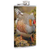 Flasques Cute Zebra Finch Songbird sur les rochers (Droite)