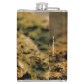 Flasques Cute Zebra Finch Songbird sur les rochers (Dos)