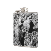 Flasques DART Dimorphos Asteroid Moonlet Surface (Gauche)