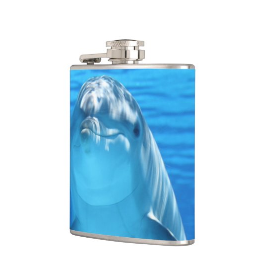 Flasques Dauphin (Gauche)