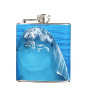 Flasques Dauphin