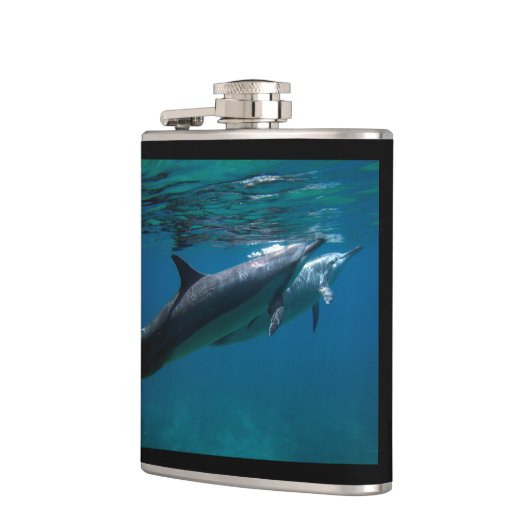 Flasques Dauphins d'Hawaï (Gauche)