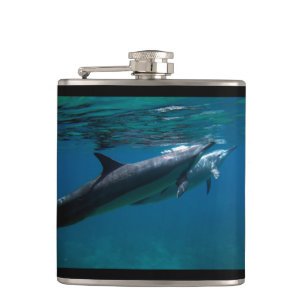 Flasques Dauphins d'Hawaï